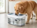PETLIBRO Capsule Dog Fountain im Direktvergleich