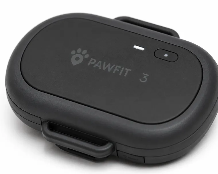 Pawfit 3 – Produktansicht 1