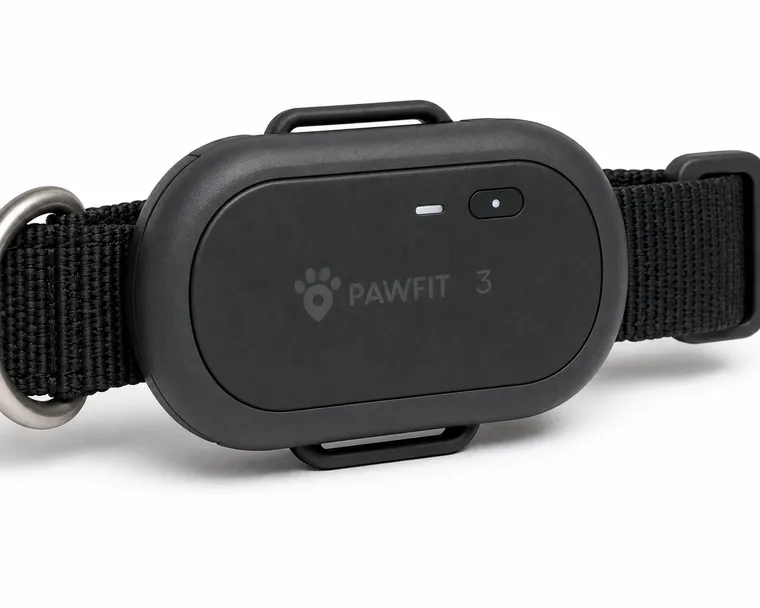 Pawfit 3 – Produktansicht 2