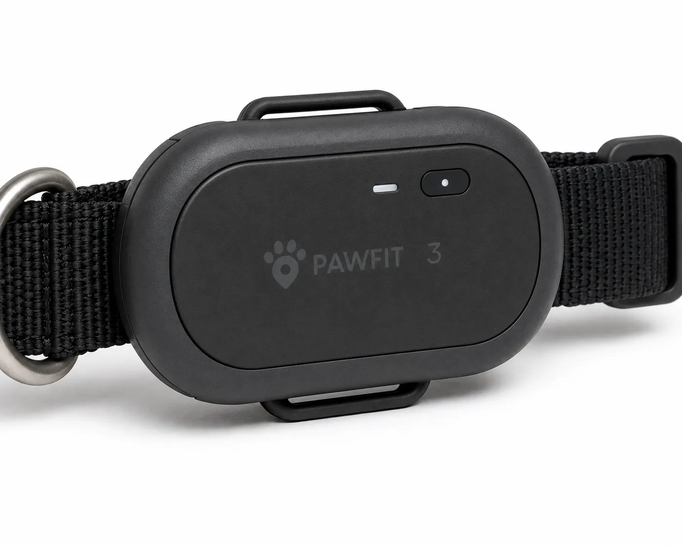 Pawfit 3 – Produktansicht 2