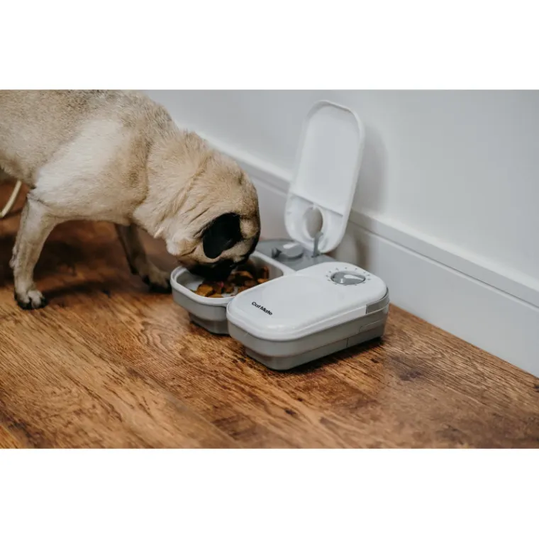 Analoge Timer des Cat Mate C200