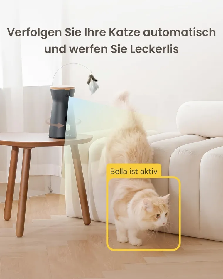 Geplanter Bildslot: Feder-Spielzeug und Katzeninteraktion der Furbo 360° Katzenkamera; aktuell Platzhalter