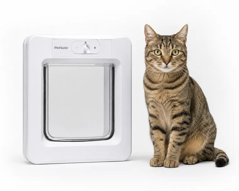 Größenvergleich der PetSafe Mikrochip Katzenklappe mit einer Hauskatze