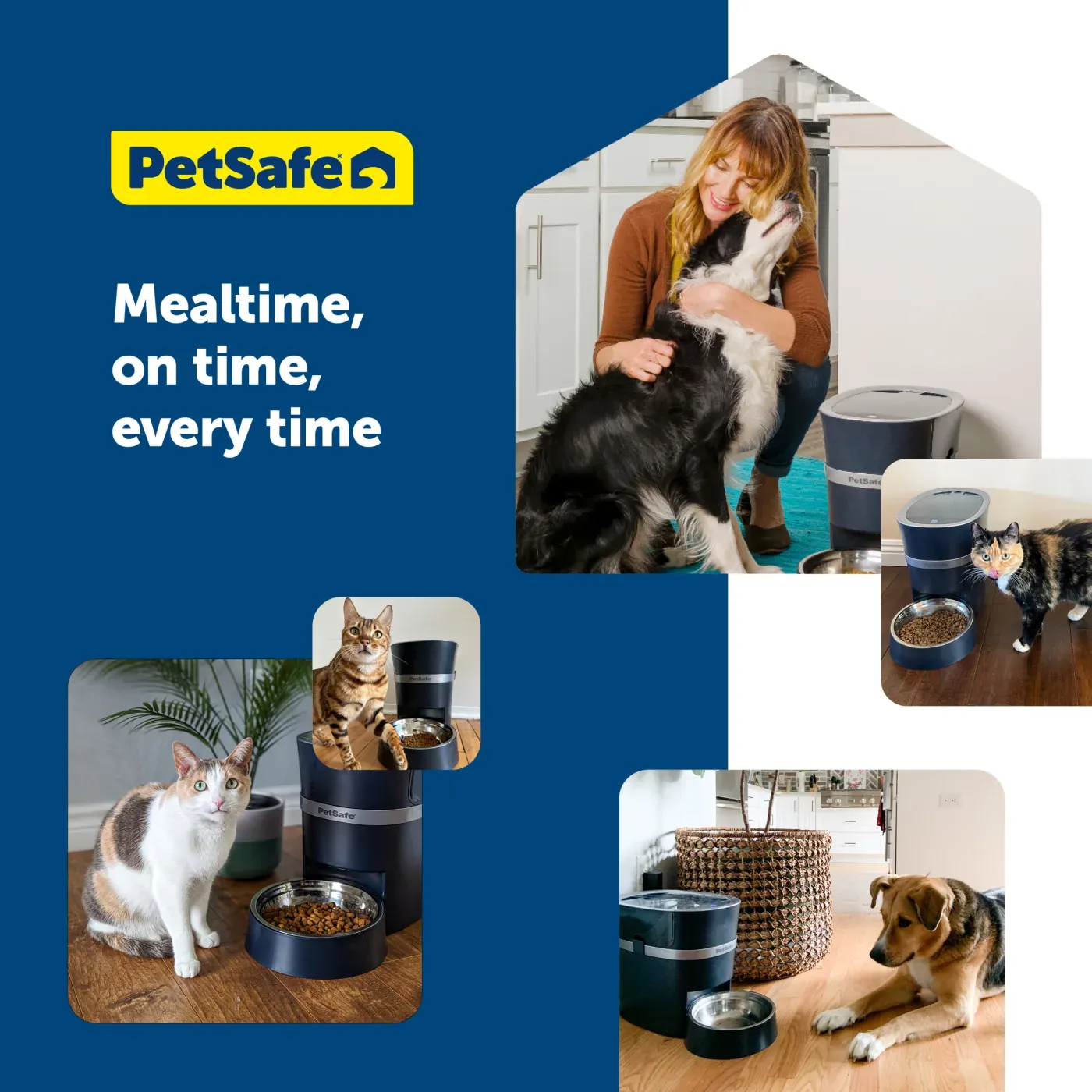 PetSafe Smart Feed 2.0 in Wohnsituationen mit Katzen und Hund