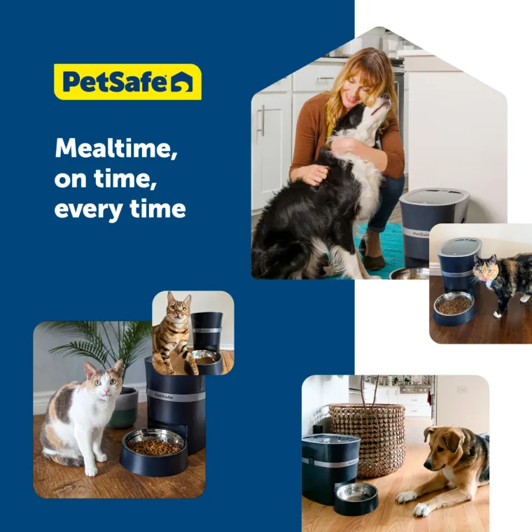 PetSafe Smart Feed 2.0 in Wohnsituationen mit Katzen und Hund