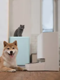 PAWBBY Smart Pet Feeder im Produktvergleich