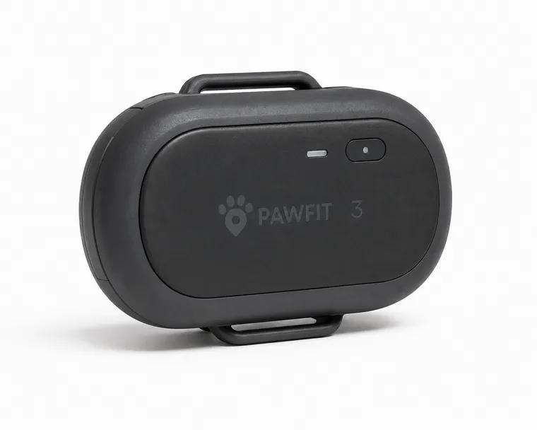 Pawfit 3 in redaktioneller Produktdarstellung