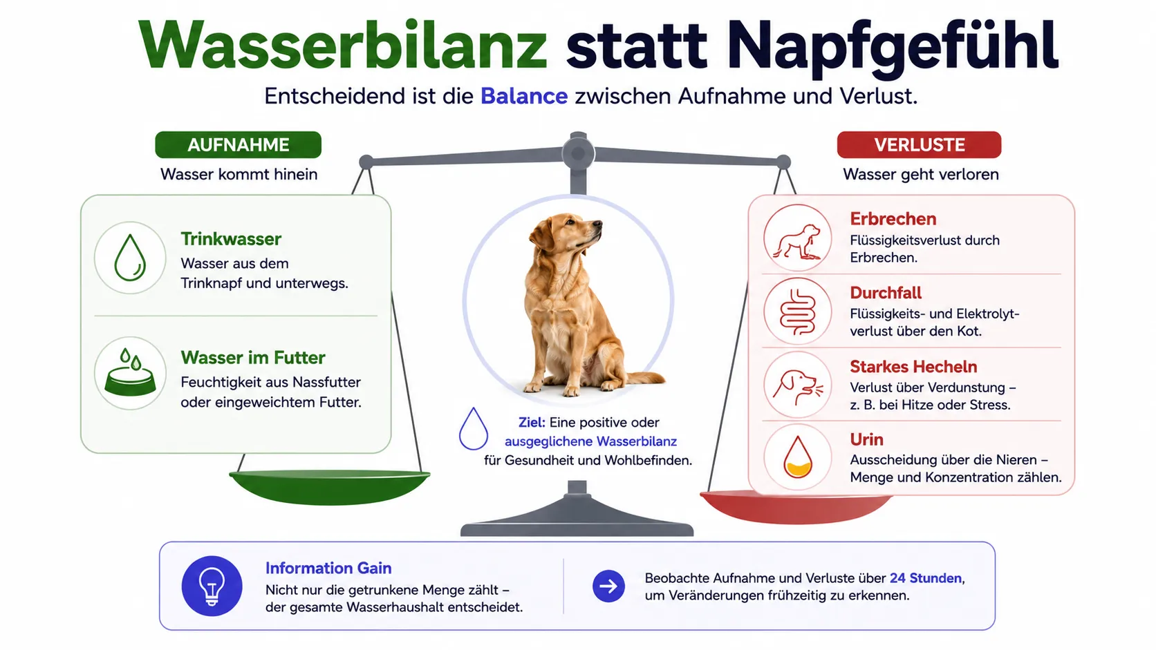 Wasserbilanz aus Aufnahme und Verlusten